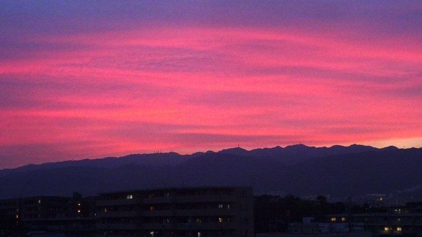 f:id:shioshiohida:20200603192450j:plain f:id:shioshiohida:20200603192450j:plain