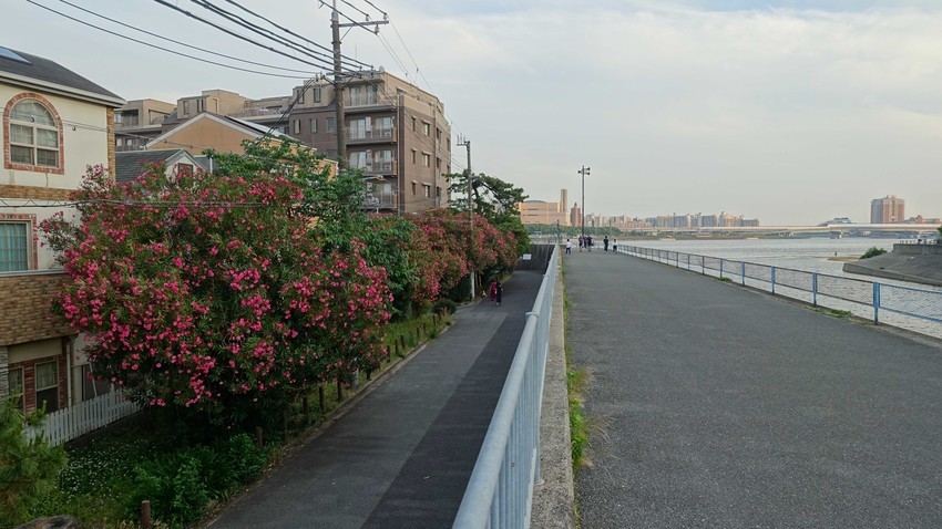 f:id:shioshiohida:20200604184237j:plain f:id:shioshiohida:20200604184237j:plain