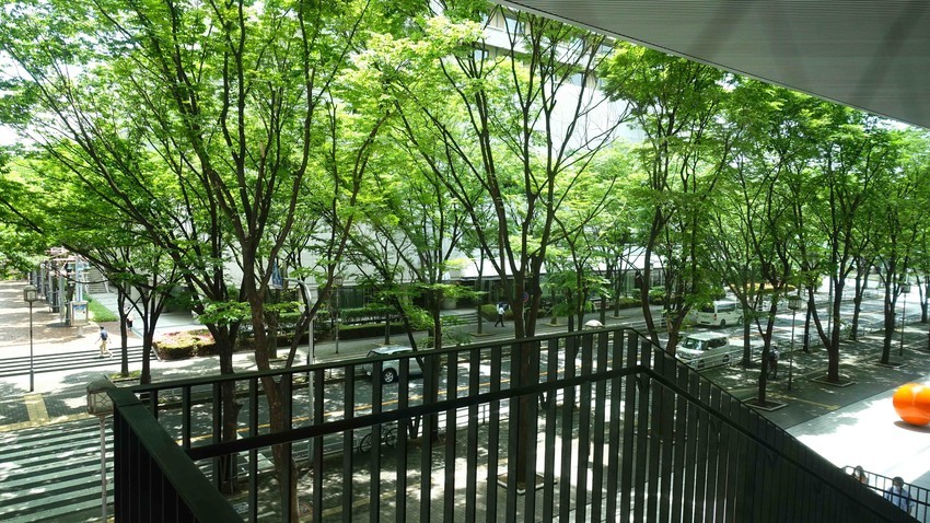 f:id:shioshiohida:20200615112028j:plain f:id:shioshiohida:20200615112028j:plain