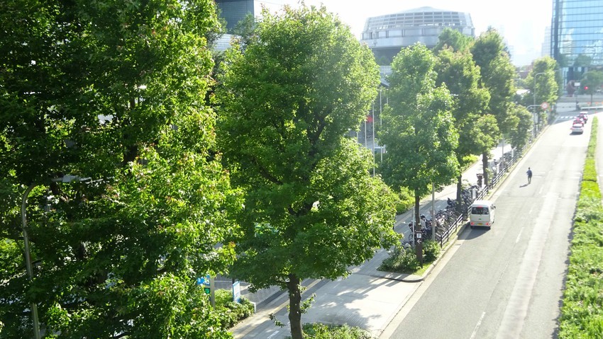 f:id:shioshiohida:20200615163939j:plain f:id:shioshiohida:20200615163939j:plain