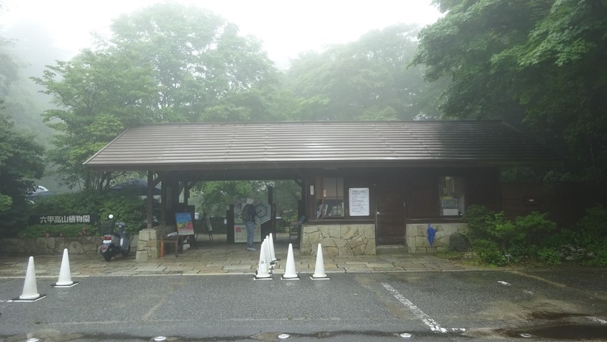 f:id:shioshiohida:20200619151327j:plain