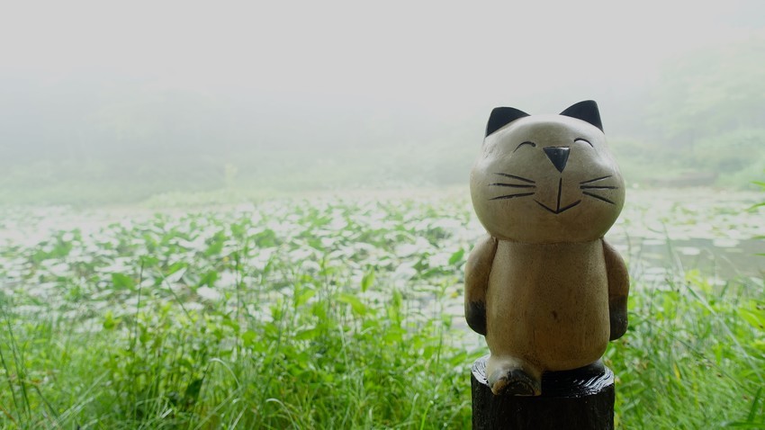 f:id:shioshiohida:20200619152521j:plain