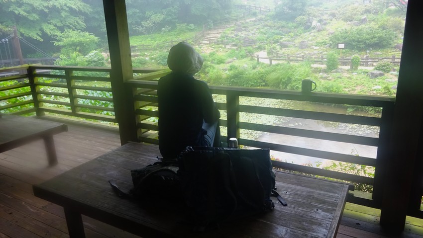 f:id:shioshiohida:20200619155653j:plain