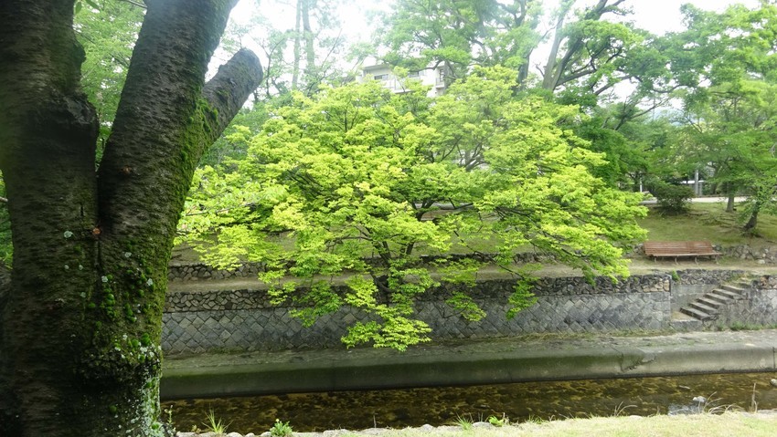 f:id:shioshiohida:20200628112729j:plain