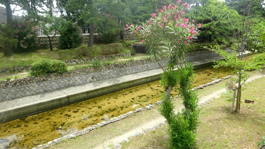 f:id:shioshiohida:20200628113009j:plain