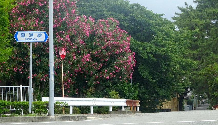 f:id:shioshiohida:20200628115028j:plain