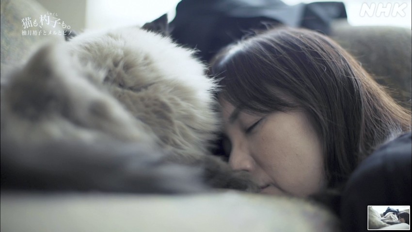 f:id:shioshiohida:20200720000853j:plain f:id:shioshiohida:20200720000853j:plain