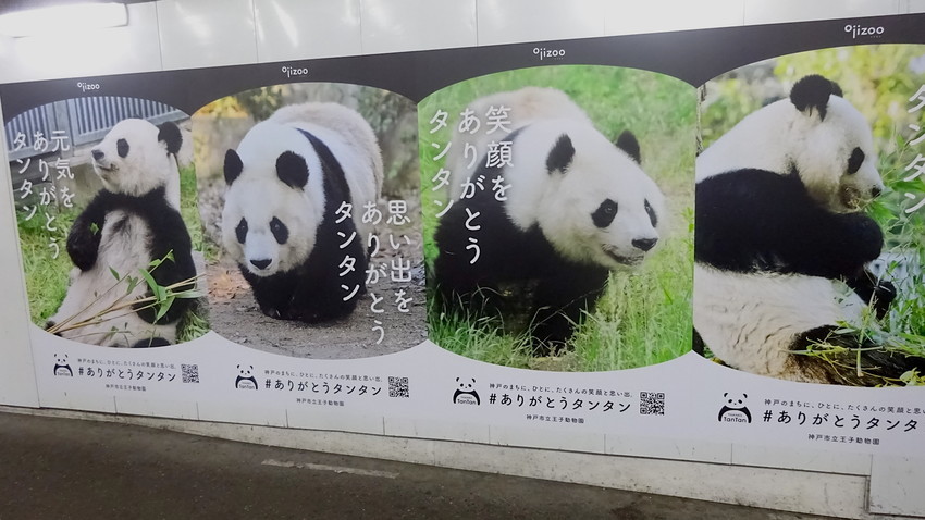 f:id:shioshiohida:20200729200303j:plain