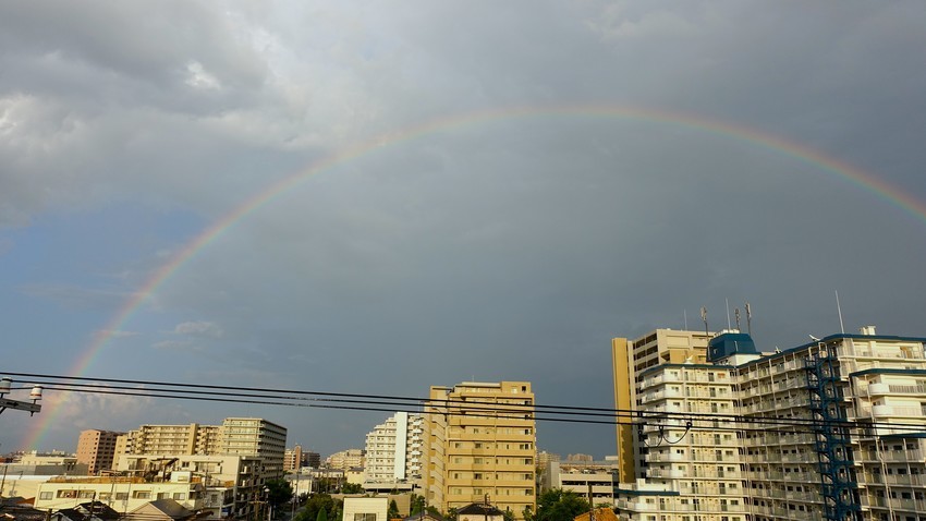 f:id:shioshiohida:20200731181058j:plain f:id:shioshiohida:20200731181058j:plain