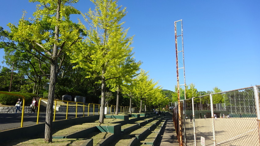 f:id:shioshiohida:20200921152837j:plain f:id:shioshiohida:20200921152837j:plain