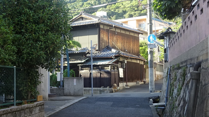 f:id:shioshiohida:20200921160545j:plain f:id:shioshiohida:20200921160545j:plain