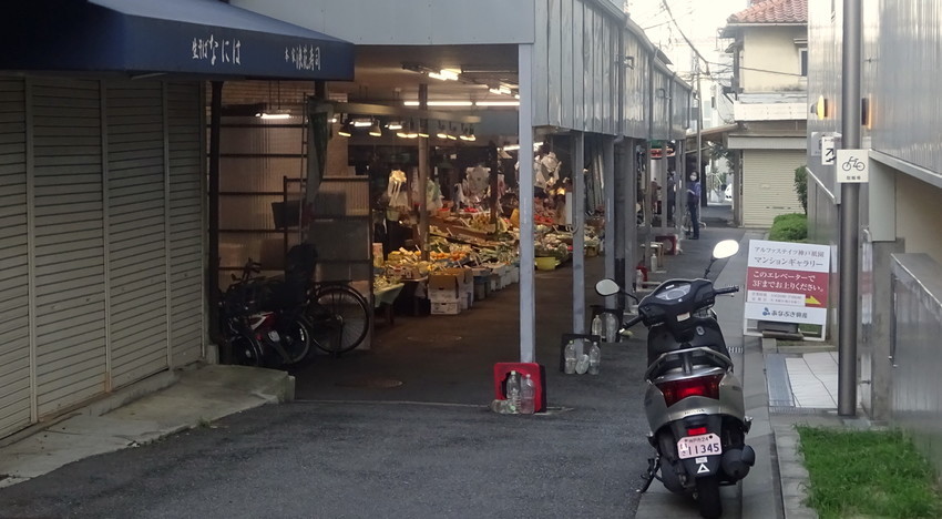 f:id:shioshiohida:20200921170613j:plain