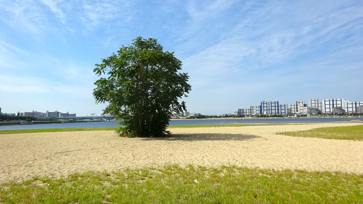 f:id:shioshiohida:20200923094349j:plain