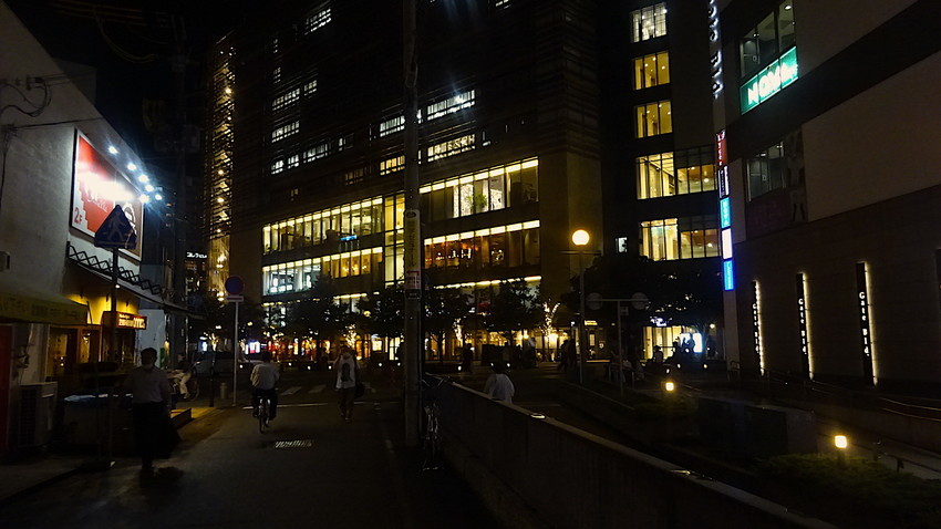 f:id:shioshiohida:20200926184619j:plain