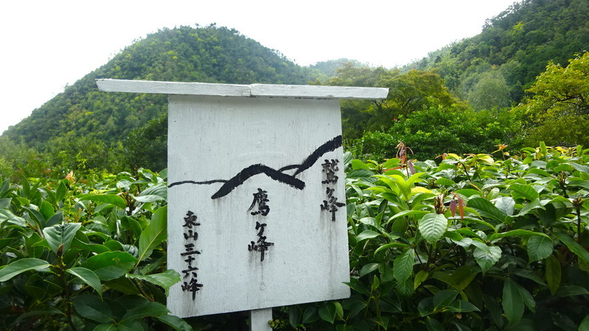 f:id:shioshiohida:20200929120413j:plain