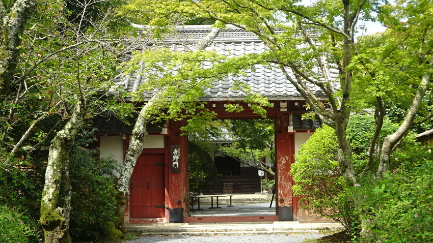 f:id:shioshiohida:20200929122541j:plain