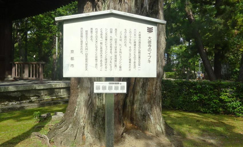 f:id:shioshiohida:20200929142005j:plain