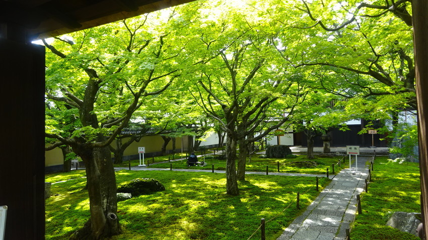 f:id:shioshiohida:20200929142821j:plain