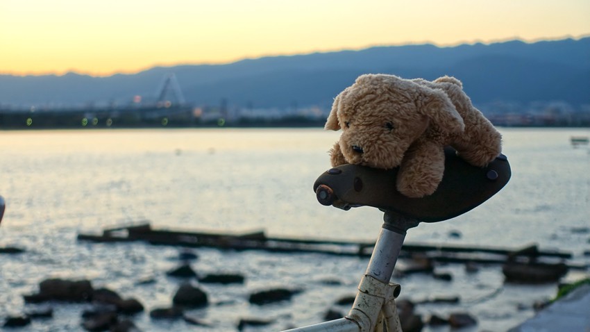 f:id:shioshiohida:20201002175158j:plain