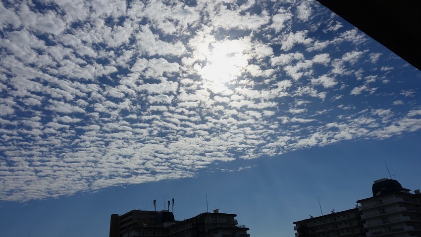 f:id:shioshiohida:20201007093420j:plain
