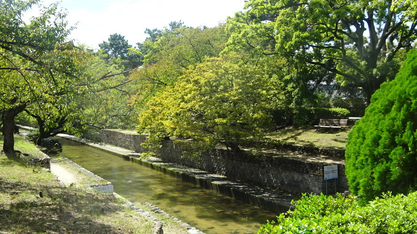 f:id:shioshiohida:20201010115359j:plain f:id:shioshiohida:20201010115359j:plain