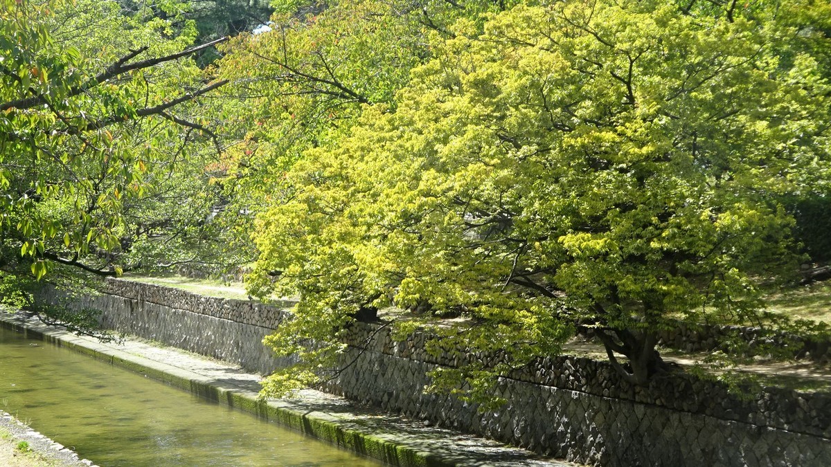 f:id:shioshiohida:20201010115407j:plain f:id:shioshiohida:20201010115407j:plain
