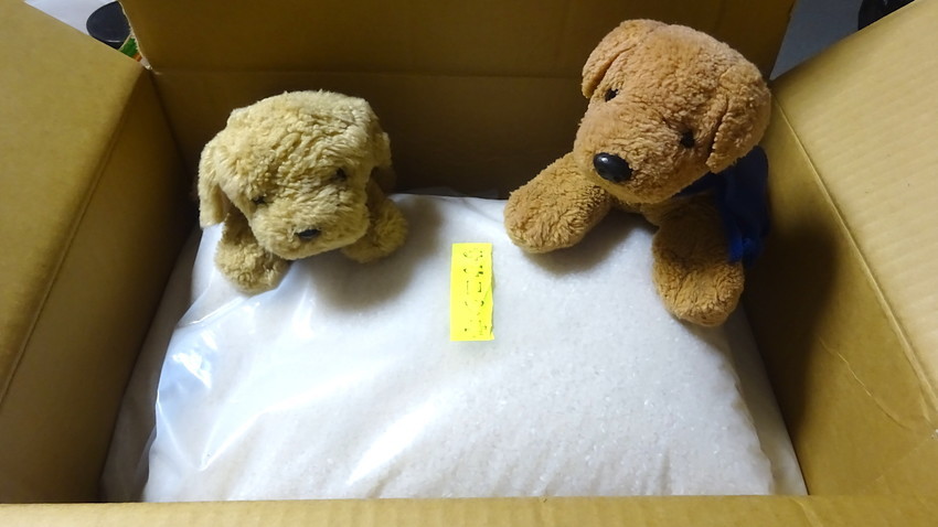 f:id:shioshiohida:20201014190824j:plain f:id:shioshiohida:20201014190824j:plain
