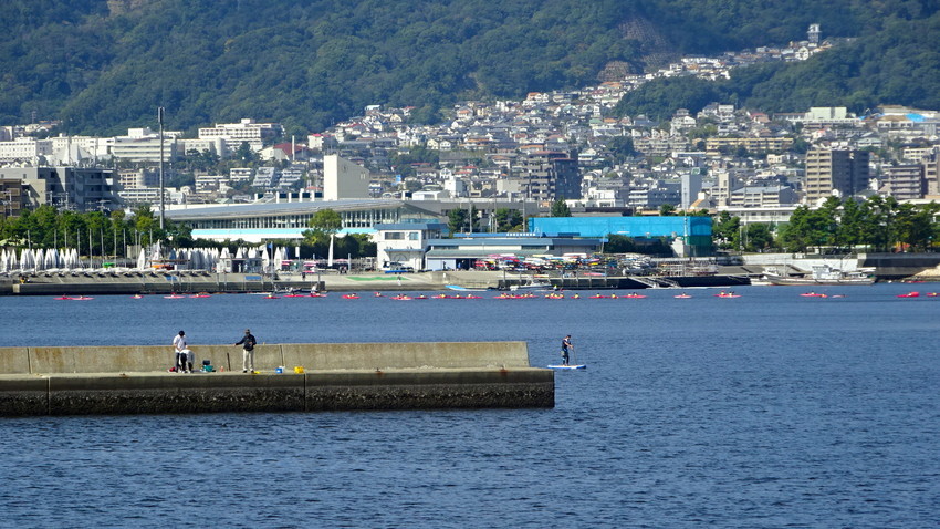 f:id:shioshiohida:20201016113501j:plain f:id:shioshiohida:20201016113501j:plain