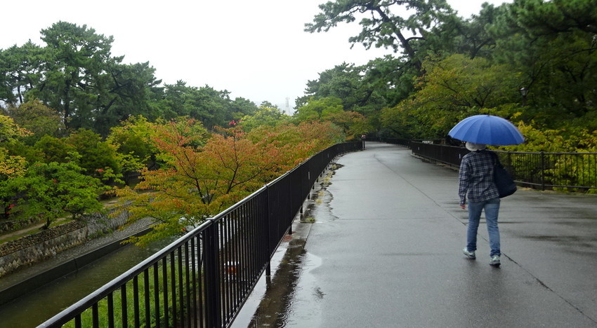 f:id:shioshiohida:20201017131153j:plain