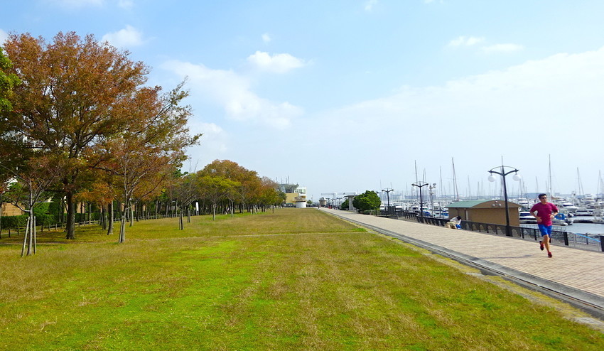 f:id:shioshiohida:20201108113508j:plain