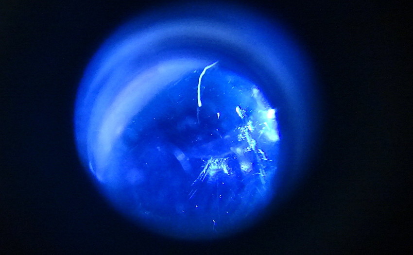 f:id:shioshiohida:20201108224031j:plain f:id:shioshiohida:20201108224031j:plain