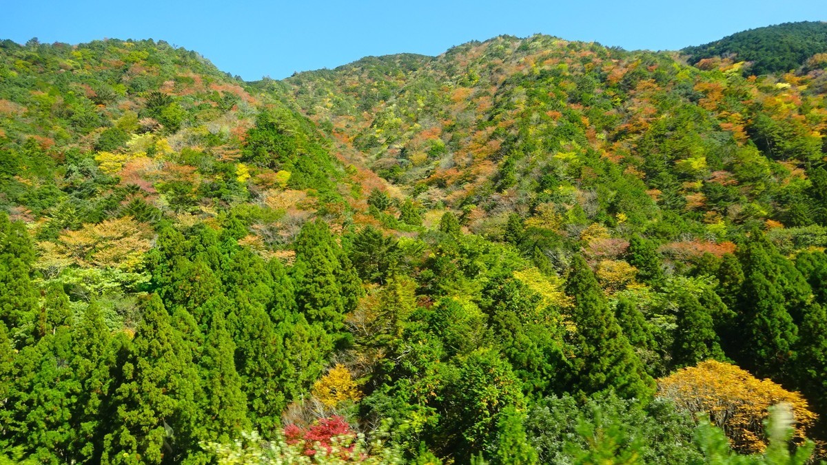 f:id:shioshiohida:20201109130714j:plain f:id:shioshiohida:20201109130714j:plain