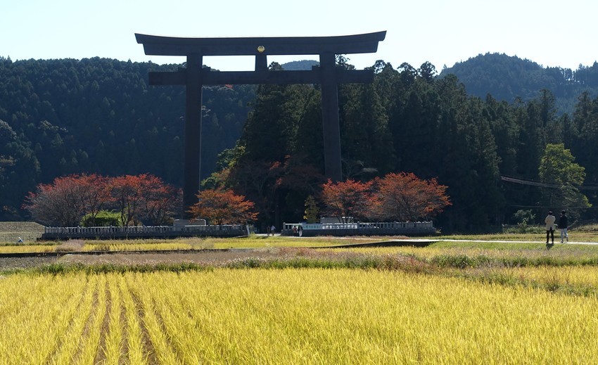 f:id:shioshiohida:20201110125152j:plain