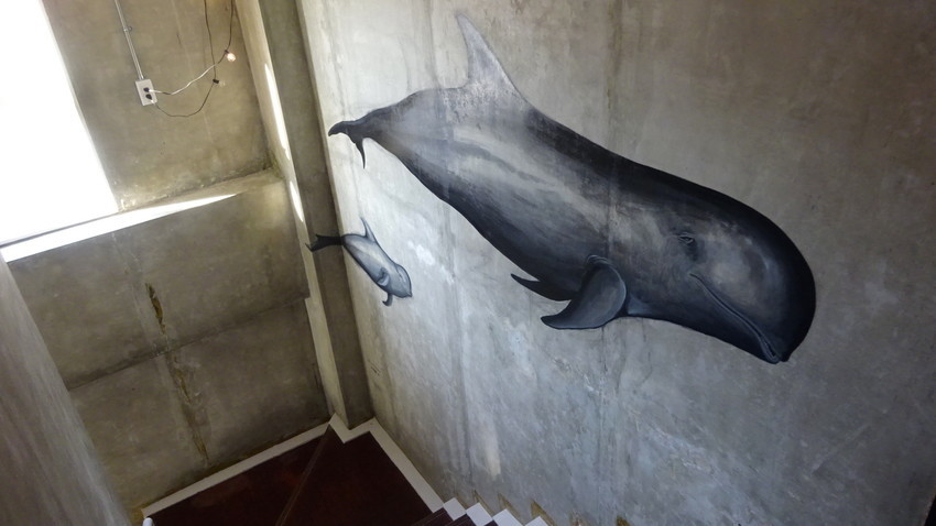 f:id:shioshiohida:20201111083942j:plain