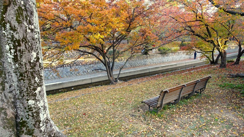f:id:shioshiohida:20201115161507j:plain