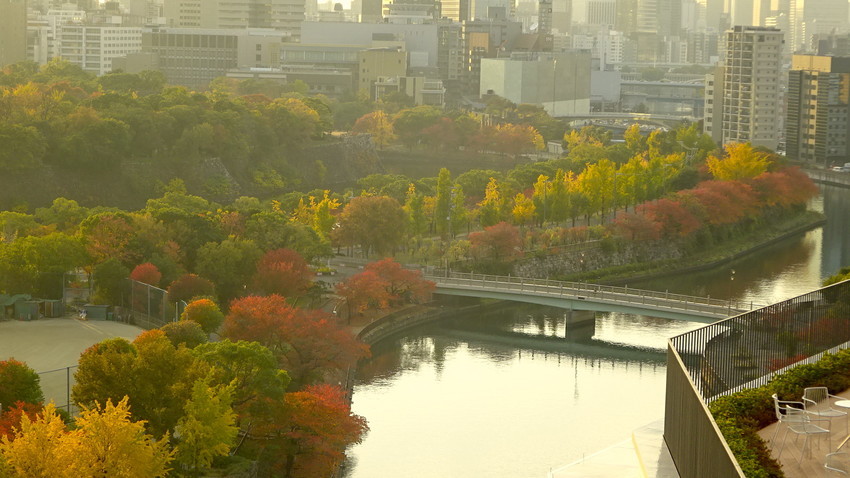 f:id:shioshiohida:20201117161254j:plain