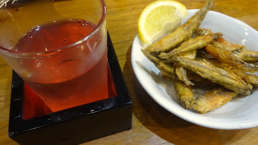 f:id:shioshiohida:20201125194952j:plain