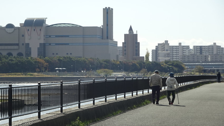 f:id:shioshiohida:20201201111319j:plain