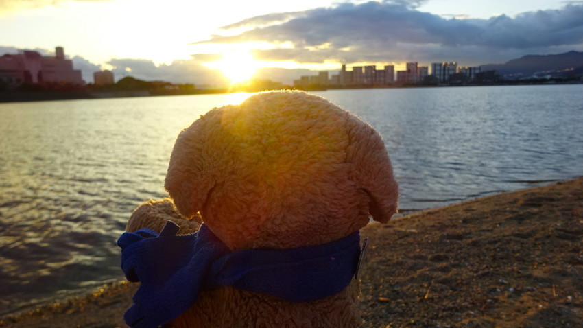 f:id:shioshiohida:20201203163312j:plain