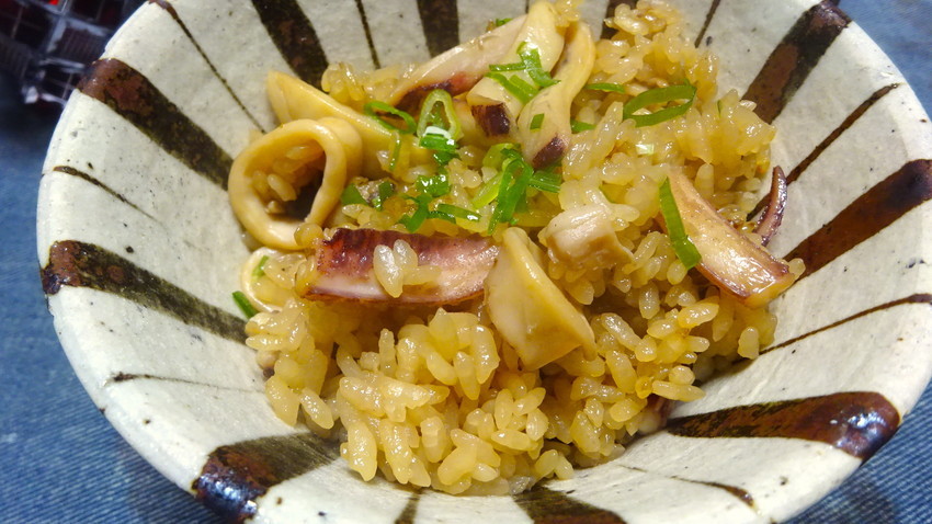 f:id:shioshiohida:20201203195519j:plain