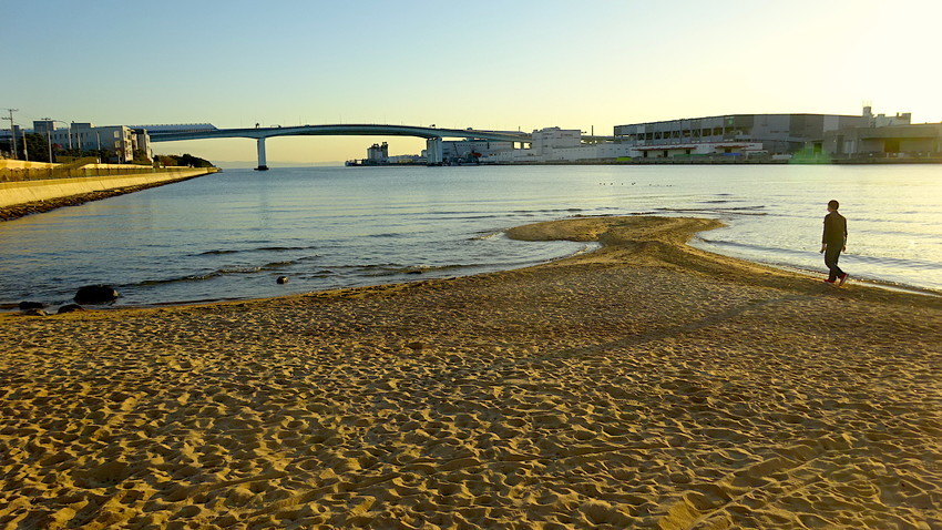 f:id:shioshiohida:20201204161908j:plain
