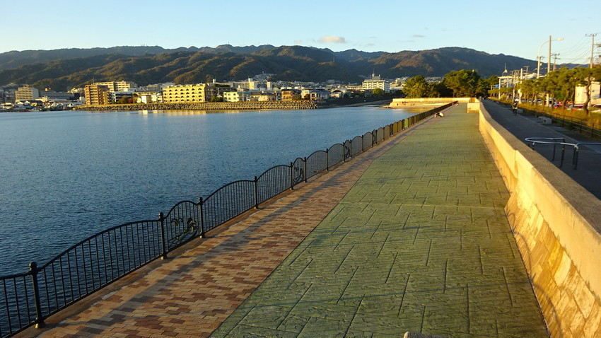 f:id:shioshiohida:20201204162249j:plain