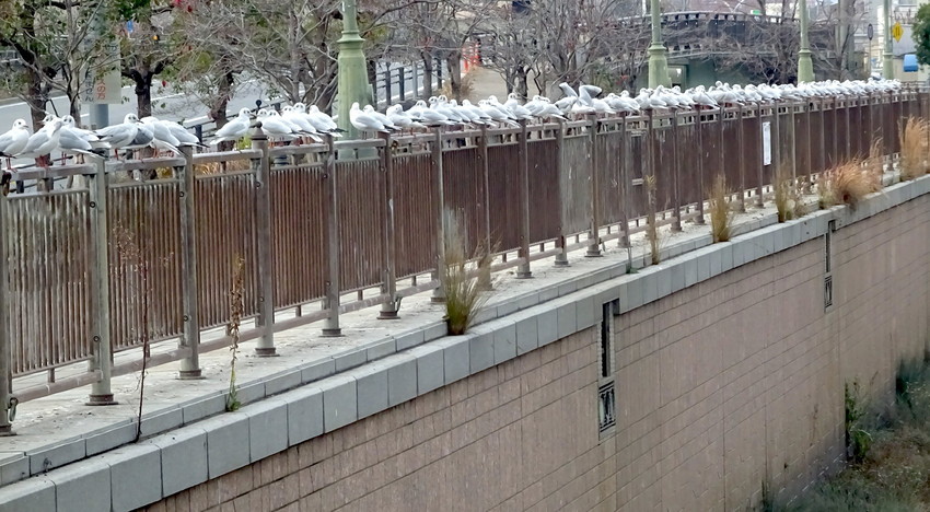 f:id:shioshiohida:20201212155703j:plain
