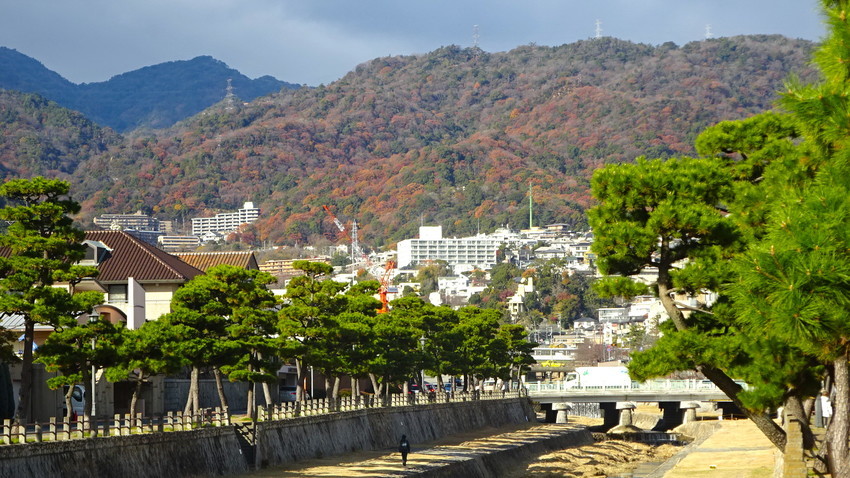 f:id:shioshiohida:20201214135613j:plain