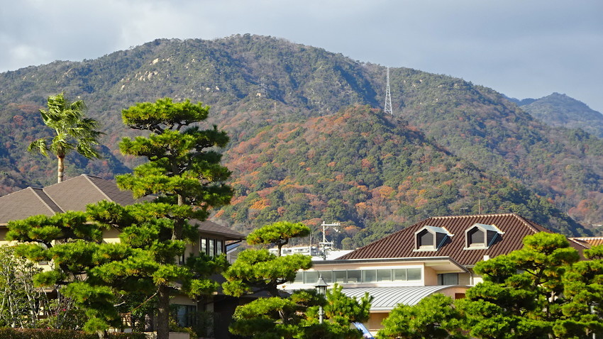 f:id:shioshiohida:20201214135653j:plain