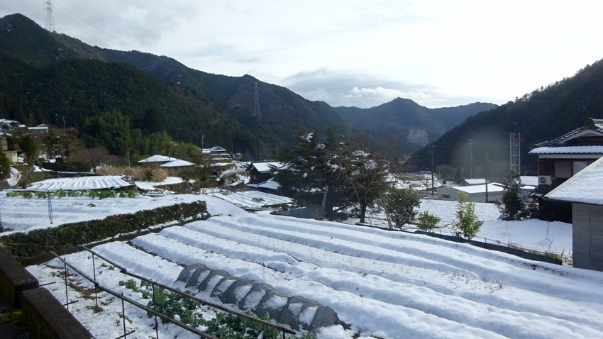 f:id:shioshiohida:20201218125315j:plain