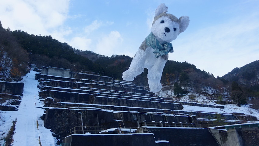 f:id:shioshiohida:20201218145117j:plain