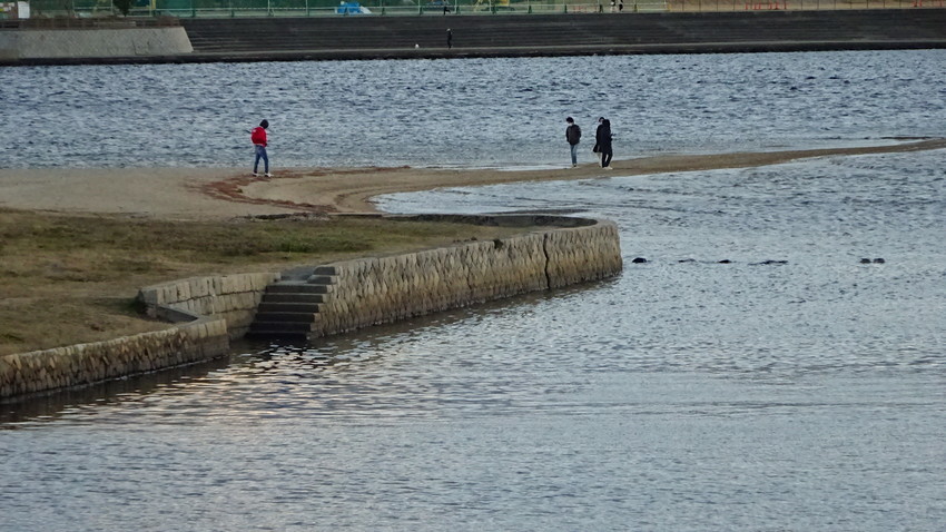 f:id:shioshiohida:20201231163944j:plain