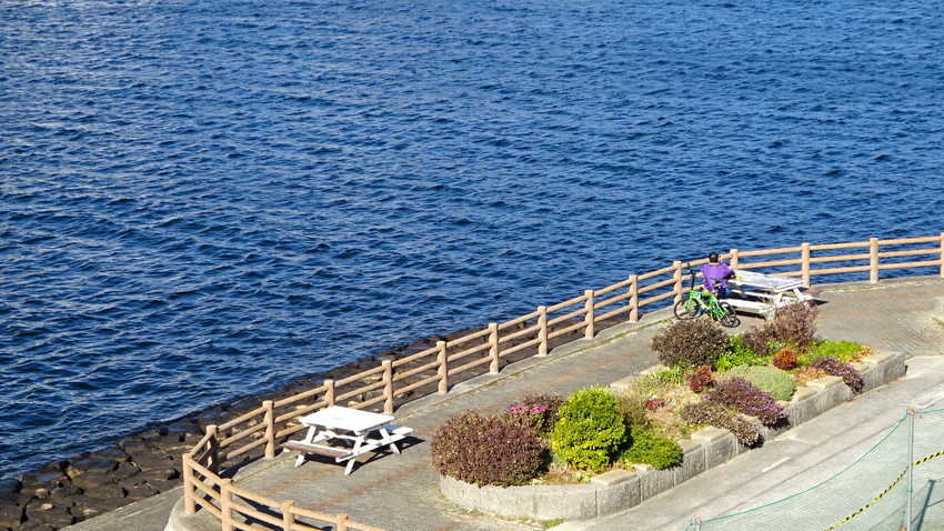 f:id:shioshiohida:20210101103933j:plain