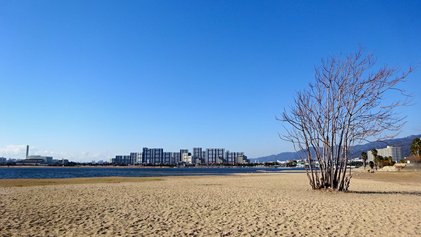 f:id:shioshiohida:20210102104606j:plain